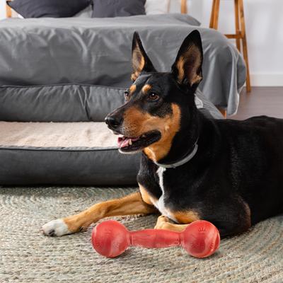 Show full view: Dogline Dumbbell Dog Water Toy, Red, 7.5-in slide 7 of 8