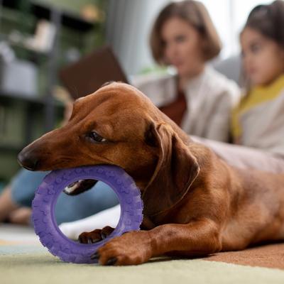 Show full view: Dogline Tire Dog Water Toy, Purple, 4-in slide 9 of 10