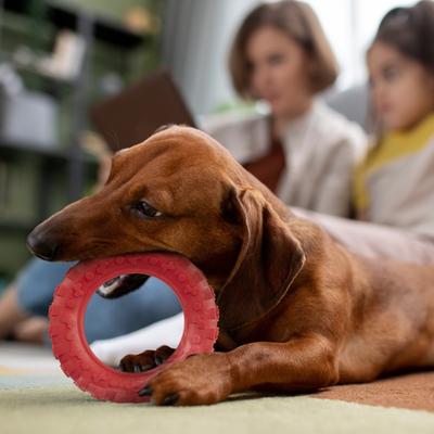 Show full view: Dogline Tire Dog Water Toy, Red, 4-in slide 9 of 10