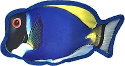 Dogline Tropical Blue Tang Squeaky Dog Toy, 10-in