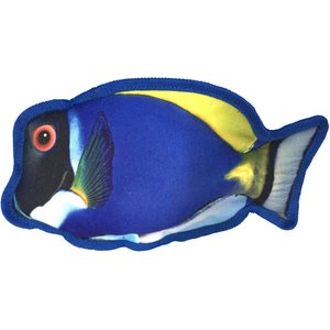Dogline Tropical Blue Tang Squeaky Dog Toy, 10-in