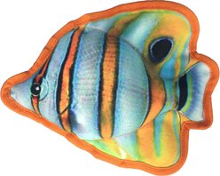 Dogline Tropical Butterflyfish Squeaky Dog Toy, 10-in