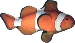 Dogline Tropical Clownfish Squeaky Dog Toy, 10-in