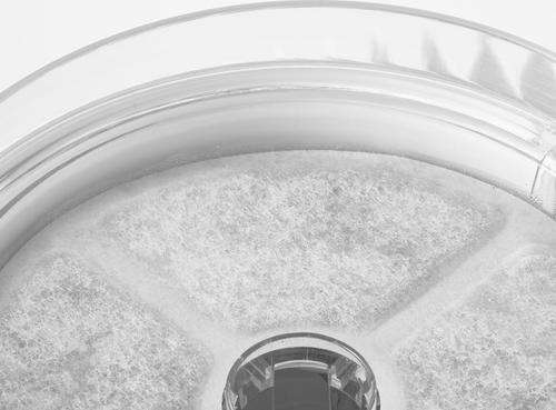 Show full view: DOGNESS Smart App Dog Water Fountain, 1.8-lit, Pearl White slide 6 of 10