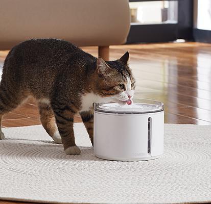 Show full view: DOGNESS Smart Automatic Dog Water Fountain, 2.2-lit, Pearl White slide 5 of 7