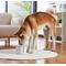 Show in main carousel: DOGNESS Smart Automatic Dog Water Fountain, 2.2-lit, Pearl White slide 7 of 7
