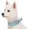 Show in main carousel: Dogs & Cats & Co. 3M Reflective Leather & Polyester Striped Genuine Dog Collar, Baby Blue, Large: 22-in neck, 1-in wide slide 2 of 7