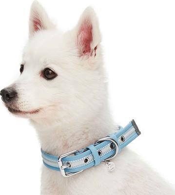 Show full view: Dogs & Cats & Co. 3M Reflective Leather & Polyester Striped Genuine Dog Collar, Baby Blue, Large: 22-in neck, 1-in wide slide 2 of 7