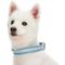 Show in main carousel: Dogs & Cats & Co. 3M Reflective Leather & Polyester Striped Genuine Dog Collar, Baby Blue, Large: 22-in neck, 1-in wide slide 3 of 7