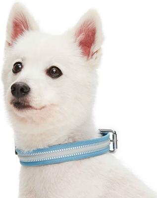 Show full view: Dogs & Cats & Co. 3M Reflective Leather & Polyester Striped Genuine Dog Collar, Baby Blue, Large: 22-in neck, 1-in wide slide 3 of 7