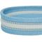 Show in main carousel: Dogs & Cats & Co. 3M Reflective Leather & Polyester Striped Genuine Dog Collar, Baby Blue, Large: 22-in neck, 1-in wide slide 6 of 7