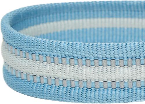 Show full view: Dogs & Cats & Co. 3M Reflective Leather & Polyester Striped Genuine Dog Collar, Baby Blue, Large: 22-in neck, 1-in wide slide 6 of 7