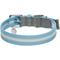Show in main carousel: Dogs & Cats & Co. 3M Reflective Leather & Polyester Striped Genuine Dog Collar, Baby Blue, Large: 22-in neck, 1-in wide slide 4 of 7