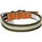 Show in main carousel: Dogs & Cats & Co. 3M Reflective Leather & Polyester Striped Genuine Dog Collar, Dark Olive, Large: 22-in neck, 1-in wide slide 4 of 7