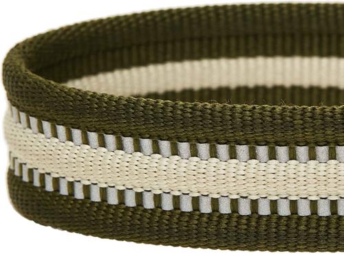 Show full view: Dogs & Cats & Co. 3M Reflective Leather & Polyester Striped Genuine Dog Collar, Dark Olive, Large: 22-in neck, 1-in wide slide 6 of 7