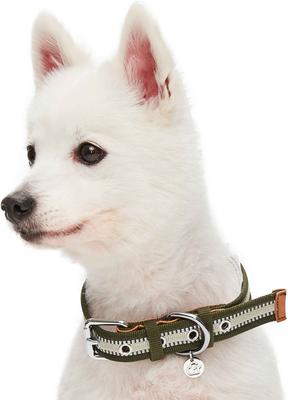 Show full view: Dogs & Cats & Co. 3M Reflective Leather & Polyester Striped Genuine Dog Collar, Dark Olive, Large: 22-in neck, 1-in wide slide 2 of 7