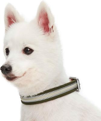 Show full view: Dogs & Cats & Co. 3M Reflective Leather & Polyester Striped Genuine Dog Collar, Dark Olive, Large: 22-in neck, 1-in wide slide 3 of 7