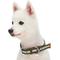 Show in main carousel: Dogs & Cats & Co. 3M Reflective Leather & Polyester Striped Genuine Dog Collar, Dark Olive, Small: 15-in neck, 3/4-in wide slide 2 of 7