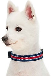 Dogs & Cats & Co. 3M Reflective Leather & Polyester Striped Genuine Dog Collar, Navy Blue, Large: 22-in neck, 1-in wide slide 2 of 7