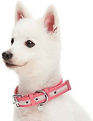 Dogs & Cats & Co. 3M Reflective Leather & Polyester Striped Genuine Dog Collar, Pink, Large: 22-in neck, 1-in wide slide 2 of 7