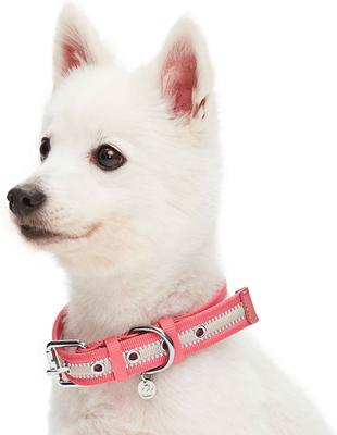 Show full view: Dogs & Cats & Co. 3M Reflective Leather & Polyester Striped Genuine Dog Collar, Pink, Large: 22-in neck, 1-in wide slide 2 of 7