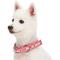 Show in main carousel: Dogs & Cats & Co. 3M Reflective Leather & Polyester Striped Genuine Dog Collar, Pink, Small: 15-in neck, 3/4-in wide slide 2 of 7
