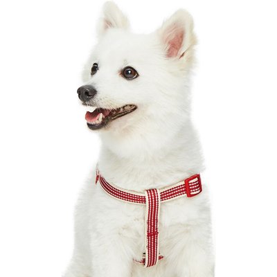 Dogs & Cats & Co. Dogs & Cats & Co. 3M Reflective Secure & Adjustable for Nighttime Visibility Dog Harness, Burgundy Red, Medium: 20 to 26-in chest