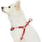 Show in main carousel: Dogs & Cats & Co. 3M Reflective Secure & Adjustable for Nighttime Visibility Dog Harness, Burgundy Red, Small: 16.5 to 21.5-in chest slide 2 of 6