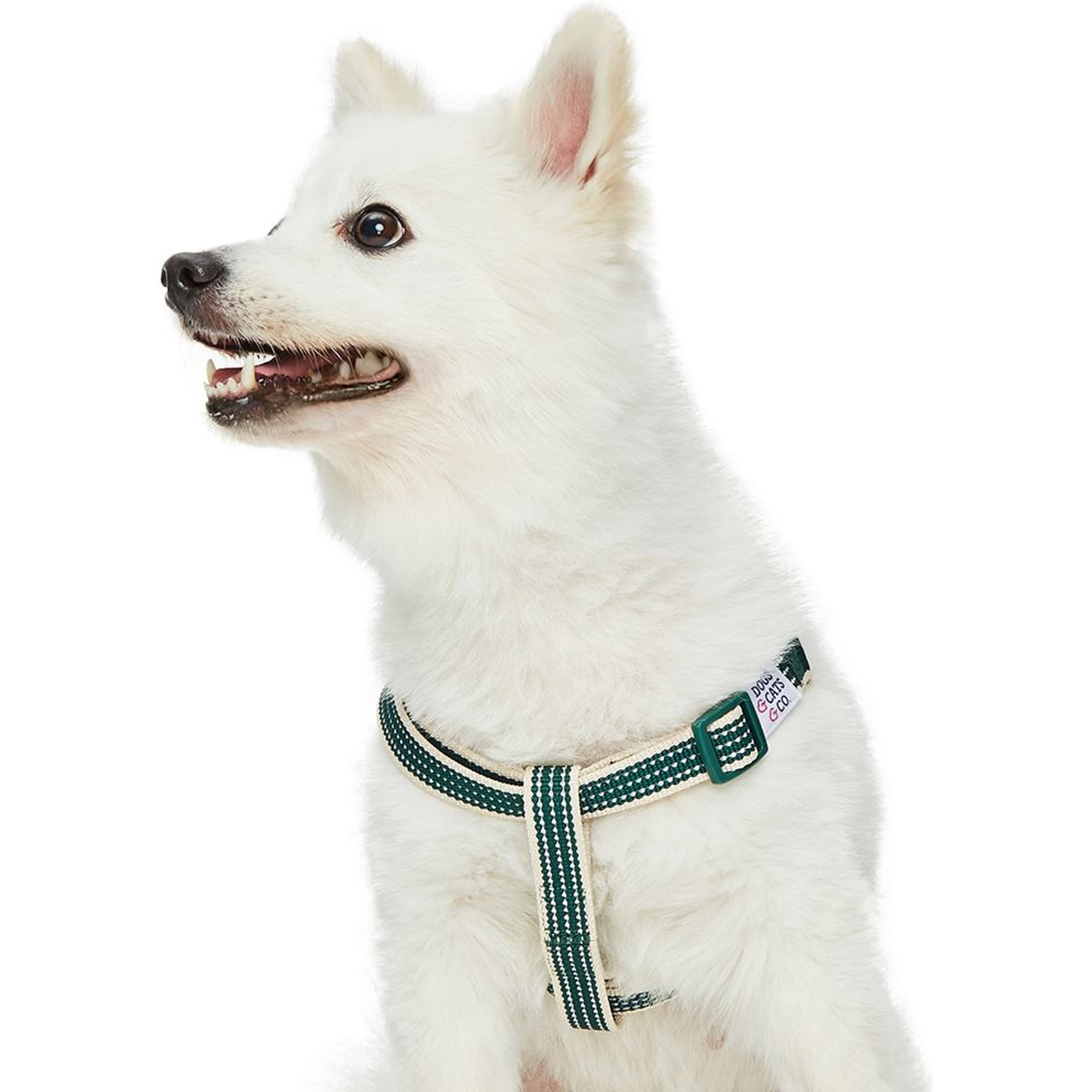 Dogs & Cats & Co. 3M Reflective Secure & Adjustable for Nighttime Visibility Dog Harness, Dark Green, Large: 26 to 39-in chest