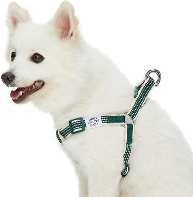 Show full view: Dogs & Cats & Co. 3M Reflective Secure & Adjustable for Nighttime Visibility Dog Harness, Dark Green, Large: 26 to 39-in chest slide 2 of 6