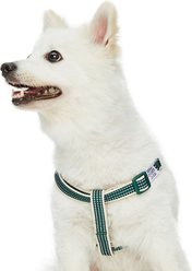 Dogs & Cats & Co. 3M Reflective Secure & Adjustable for Nighttime Visibility Dog Harness, Dark Green, Small: 16.5 to 21.5-in chest