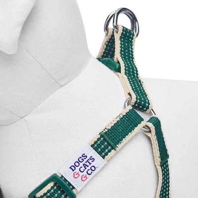 Show full view: Dogs & Cats & Co. 3M Reflective Secure & Adjustable for Nighttime Visibility Dog Harness, Dark Green, Small: 16.5 to 21.5-in chest slide 5 of 6