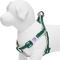 Show in main carousel: Dogs & Cats & Co. 3M Reflective Secure & Adjustable for Nighttime Visibility Dog Harness, Dark Green, Small: 16.5 to 21.5-in chest slide 3 of 6