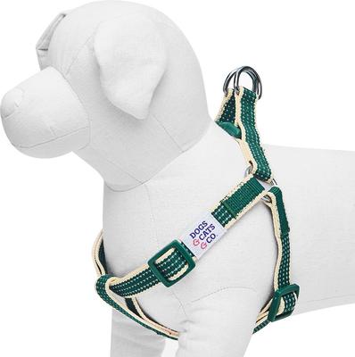 Show full view: Dogs & Cats & Co. 3M Reflective Secure & Adjustable for Nighttime Visibility Dog Harness, Dark Green, Small: 16.5 to 21.5-in chest slide 3 of 6