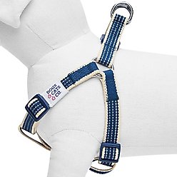 Dogs & Cats & Co. 3M Reflective Secure & Adjustable for Nighttime Visibility Dog Harness, Navy Blue, Small: 16.5 to 21.5-in chest slide 2 of 6