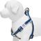Show in main carousel: Dogs & Cats & Co. 3M Reflective Secure & Adjustable for Nighttime Visibility Dog Harness, Navy Blue, Small: 16.5 to 21.5-in chest slide 3 of 6