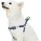Show in main carousel: Dogs & Cats & Co. 3M Reflective Secure & Adjustable for Nighttime Visibility Dog Harness, Navy Blue, Small: 16.5 to 21.5-in chest slide 2 of 6