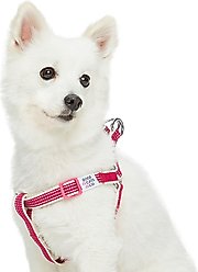Dogs & Cats & Co. 3M Reflective Secure & Adjustable for Nighttime Visibility Dog Harness, Rosy Pink, Medium: 20 to 26-in chest