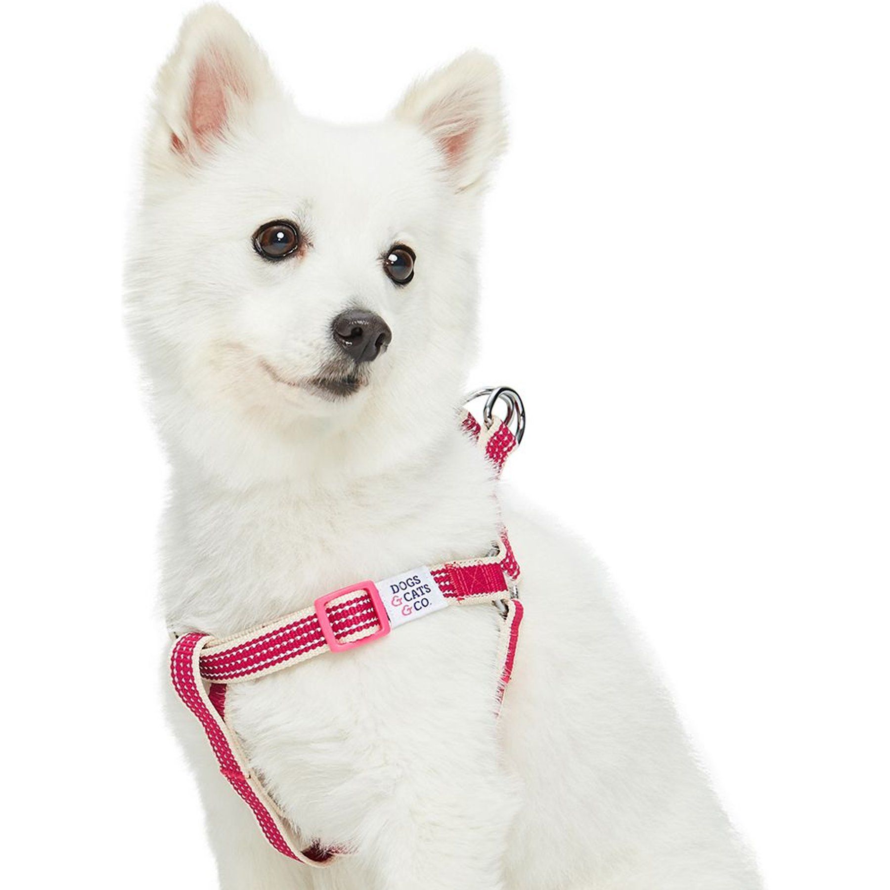 Dogs & Cats & Co. 3M Reflective Secure & Adjustable for Nighttime Visibility Dog Harness, Rosy Pink, Medium: 20 to 26-in chest