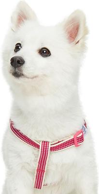 Show full view: Dogs & Cats & Co. 3M Reflective Secure & Adjustable for Nighttime Visibility Dog Harness, Rosy Pink, Medium: 20 to 26-in chest slide 2 of 6