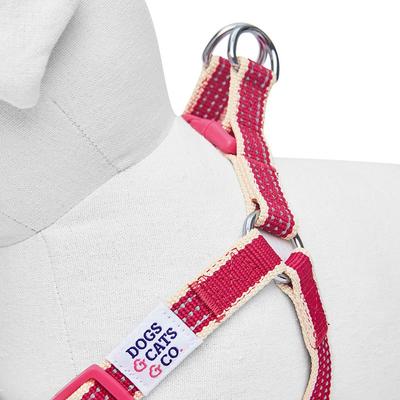 Show full view: Dogs & Cats & Co. 3M Reflective Secure & Adjustable for Nighttime Visibility Dog Harness, Rosy Pink, Small: 16.5 to 21.5-in chest slide 6 of 7