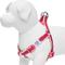 Show in main carousel: Dogs & Cats & Co. 3M Reflective Secure & Adjustable for Nighttime Visibility Dog Harness, Rosy Pink, Small: 16.5 to 21.5-in chest slide 4 of 7