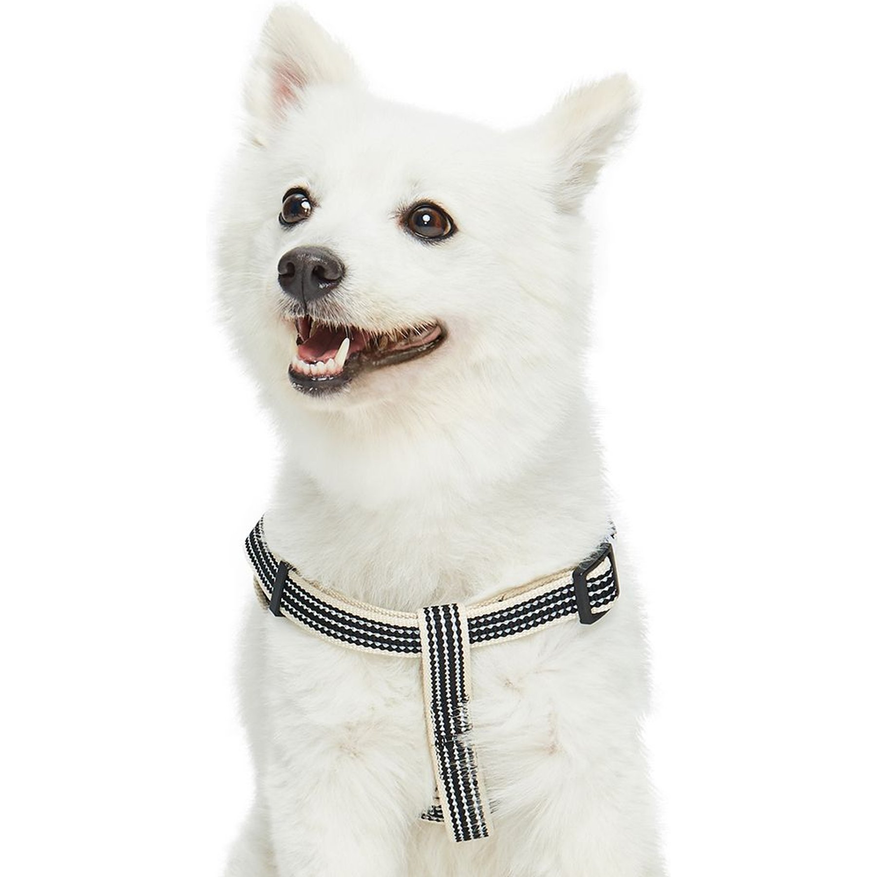 Dogs & Cats & Co. 3M Reflective Secure & Adjustable for Nighttime Visibility Dog Harness, True Black, Large: 26 to 39-in chest