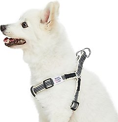 Dogs & Cats & Co. 3M Reflective Secure & Adjustable for Nighttime Visibility Dog Harness, True Black, Small: 16.5 to 21.5-in chest slide 2 of 6