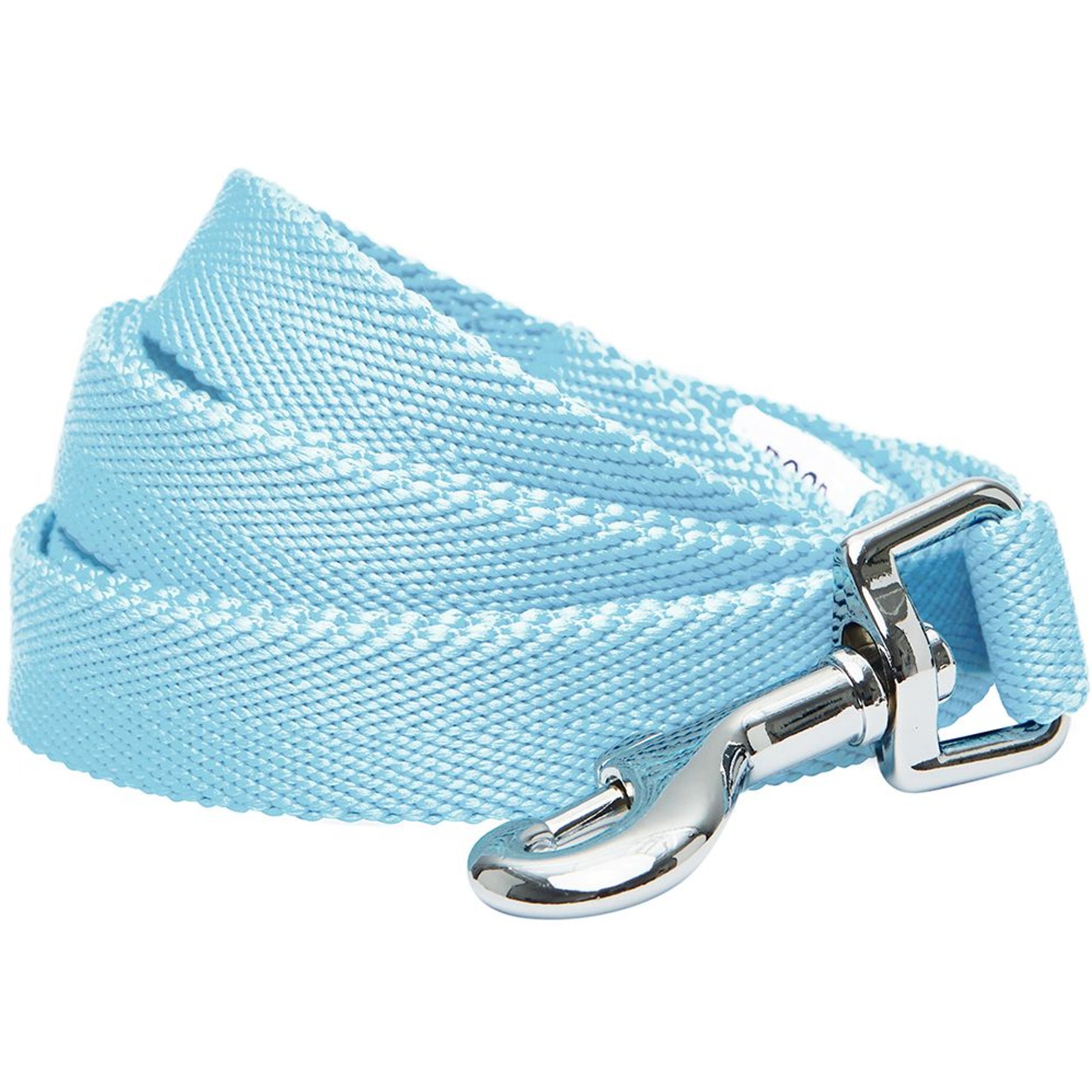 Dogs & Cats & Co. Classic Solid Color Dog Leash, Aquamarine, Small: 5-ft long, 3/4-in wide