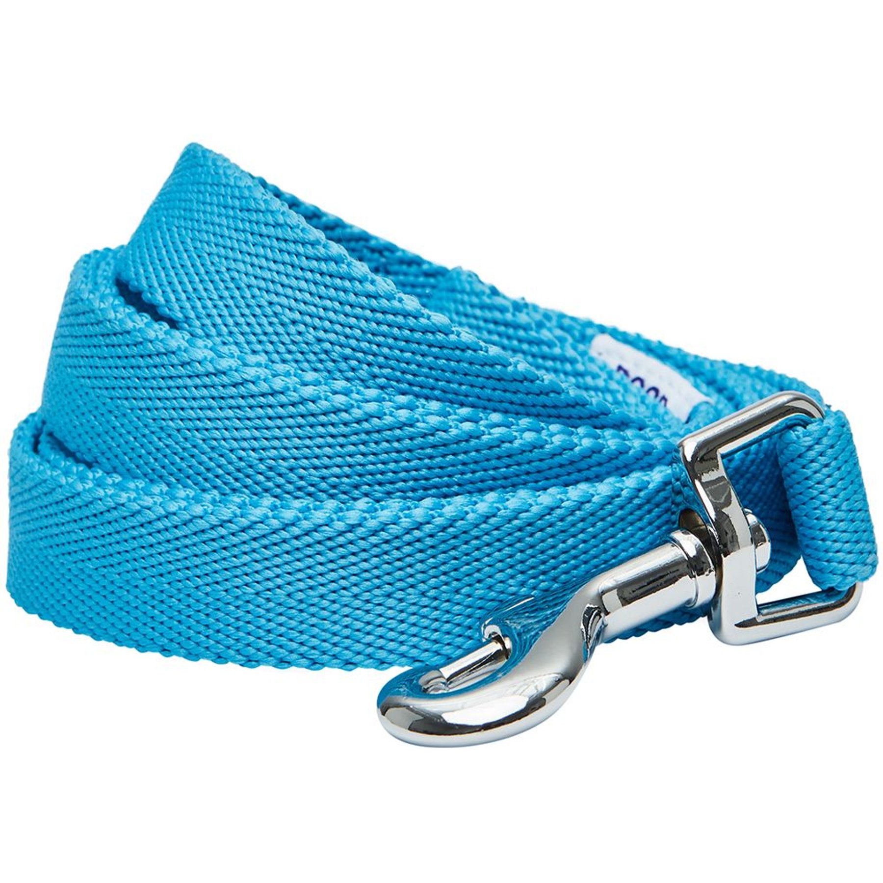 Dogs & Cats & Co. Classic Solid Color Dog Leash, Cyan Blue, Small: 5-ft long, 3/4-in wide