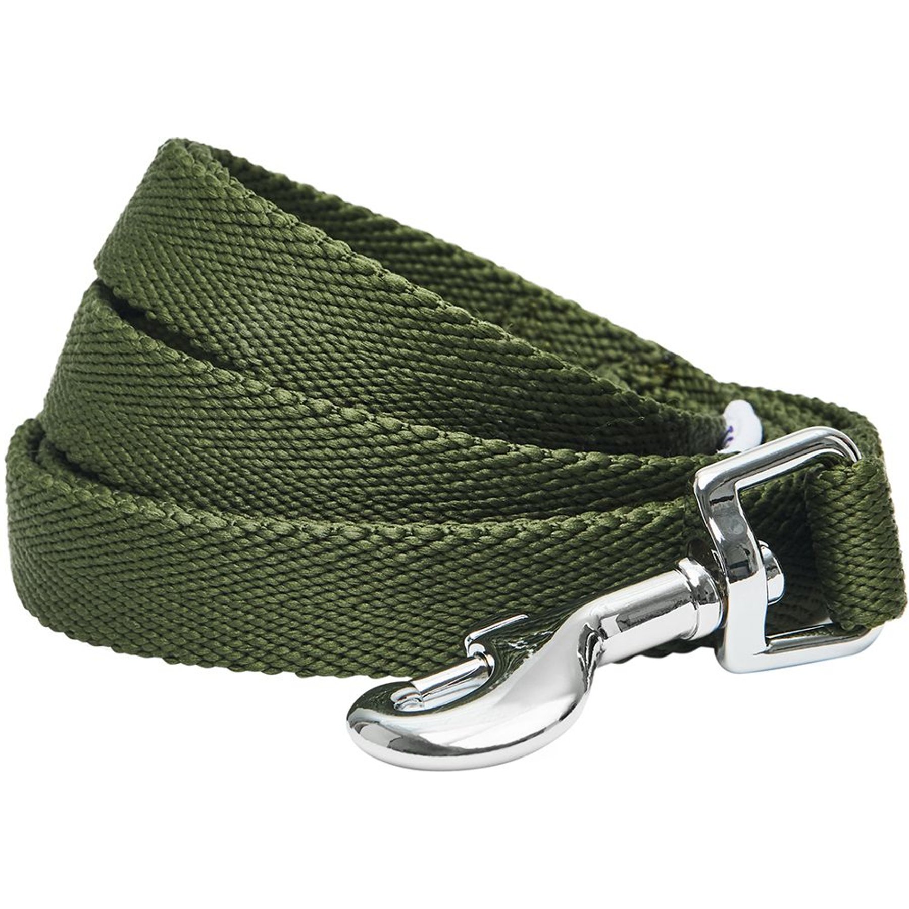 Dogs & Cats & Co. Classic Solid Color Dog Leash, Military Green, Large: 4-ft long, 1-in wide