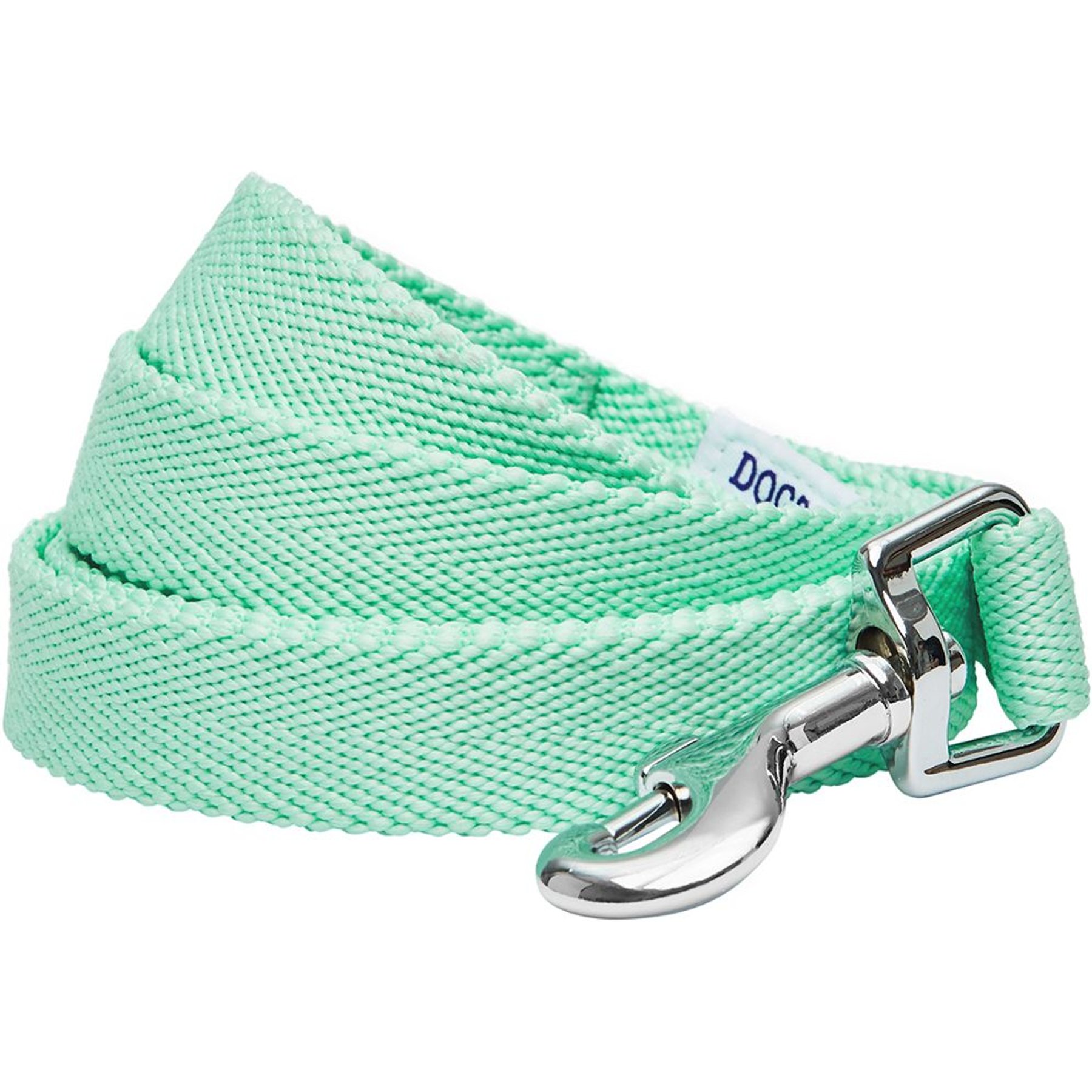 Dogs & Cats & Co. Classic Solid Color Dog Leash, Mint Green, Medium: 5-ft long, 5/8-in wide