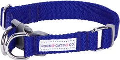 Dogs & Cats & Co. Classic Solid Color Polyester Dog Collar, Electric Blue, Medium: 20-in neck, 3/4-in wide
