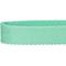 Show in main carousel: Dogs & Cats & Co. Classic Solid Color Polyester Dog Collar, Mint Green, Medium: 20-in neck, 3/4-in wide slide 4 of 5